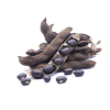 Kapikachhu