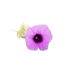 Vriddhadaru