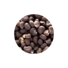 Kasturilatika